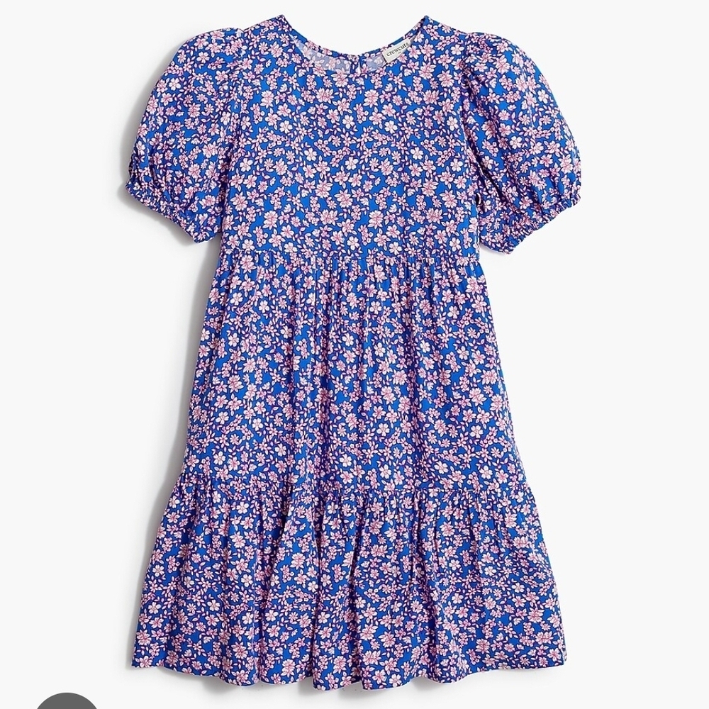 Crewcuts by J. Crew Floral Blue and Pink Kids Dress